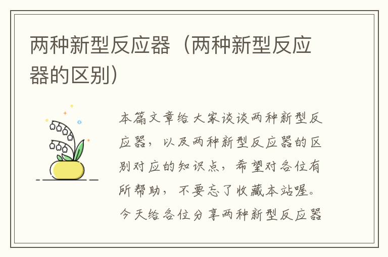 两种新型反应器（两种新型反应器的区别）