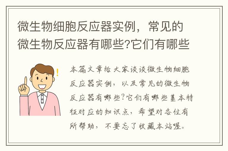 微生物细胞反应器实例，常见的微生物反应器有哪些?它们有哪些基本特征