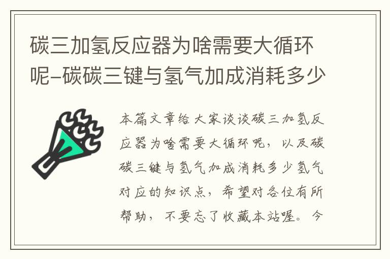 碳三加氢反应器为啥需要大循环呢-碳碳三键与氢气加成消耗多少氢气