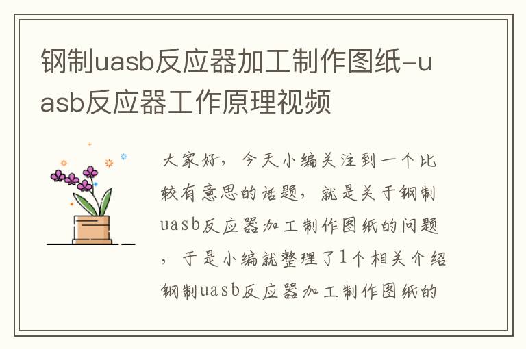 钢制uasb反应器加工制作图纸-uasb反应器工作原理视频