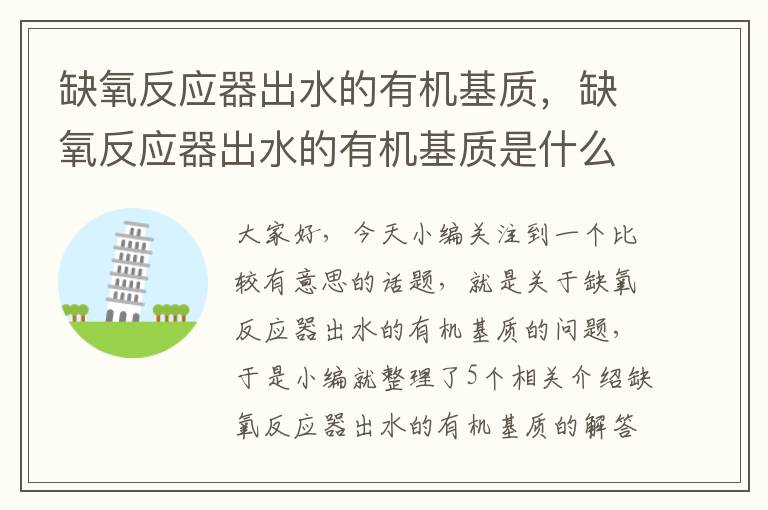 缺氧反应器出水的有机基质，缺氧反应器出水的有机基质是什么