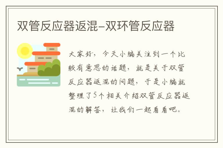 双管反应器返混-双环管反应器