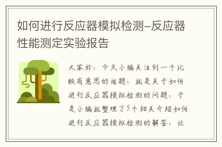 如何进行反应器模拟检测-反应器性能测定实验报告