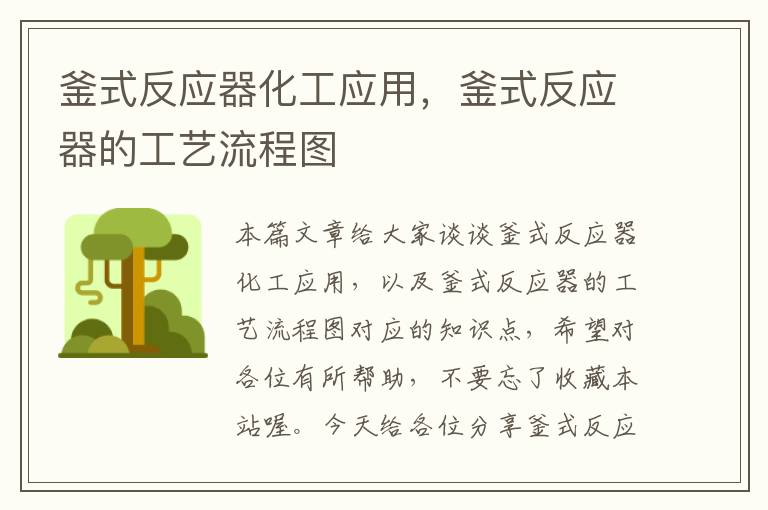 釜式反应器化工应用，釜式反应器的工艺流程图