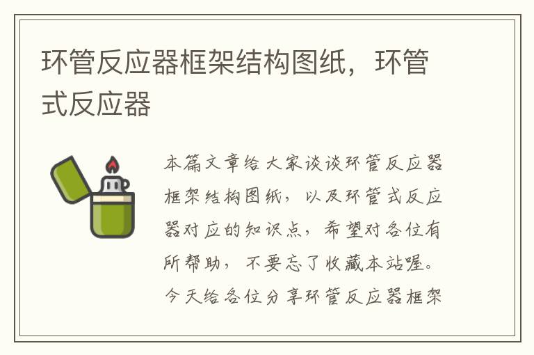 环管反应器框架结构图纸，环管式反应器