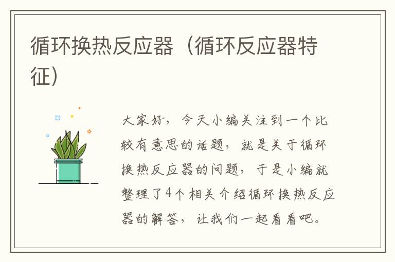 循环换热反应器（循环反应器特征）