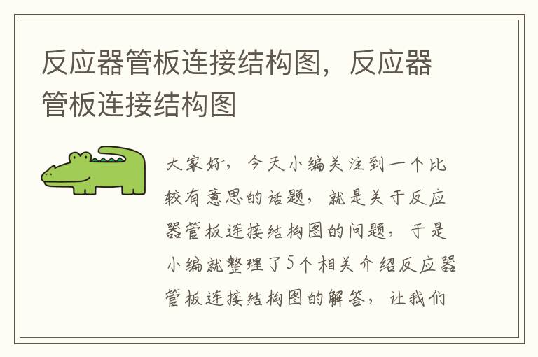 反应器管板连接结构图，反应器管板连接结构图