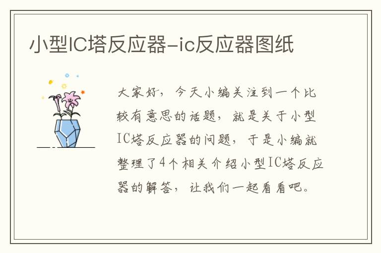 小型IC塔反应器-ic反应器图纸