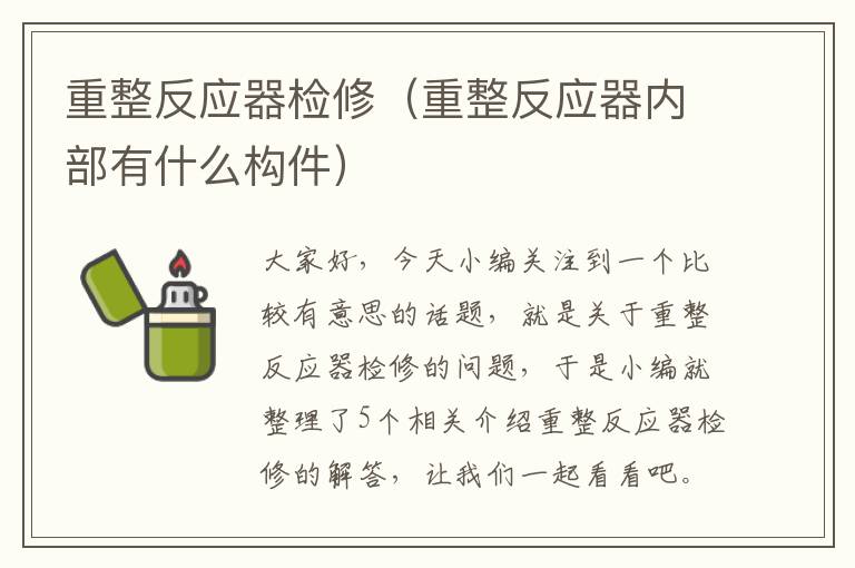 重整反应器检修（重整反应器内部有什么构件）