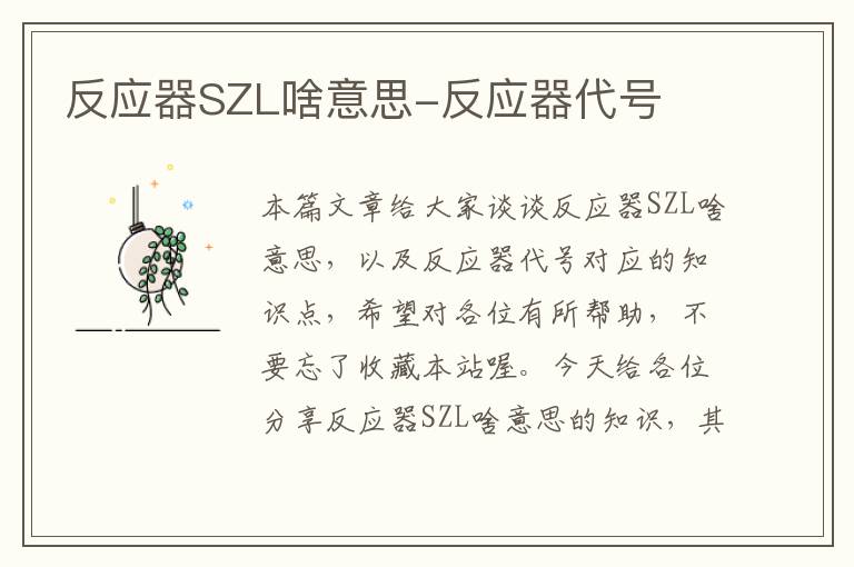 反应器SZL啥意思-反应器代号