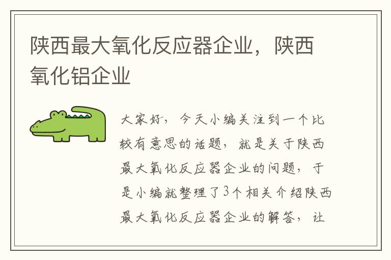 陕西最大氧化反应器企业，陕西氧化铝企业