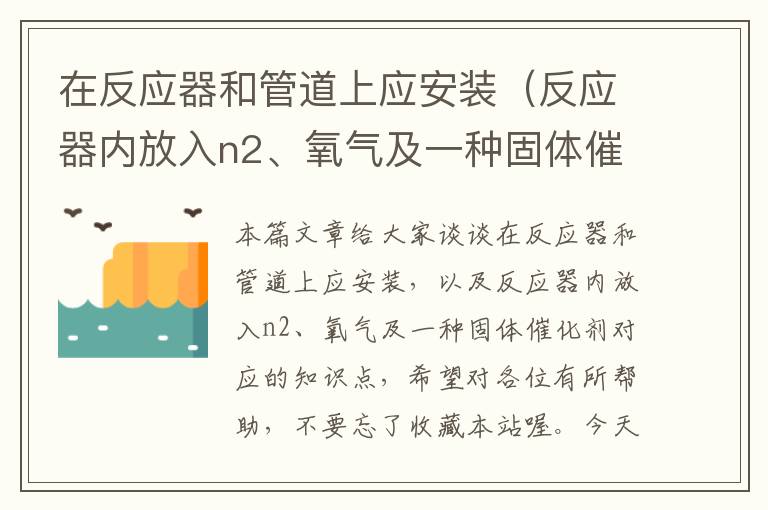 在反应器和管道上应安装（反应器内放入n2、氧气及一种固体催化剂）