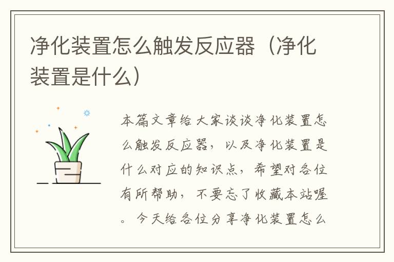 净化装置怎么触发反应器（净化装置是什么）