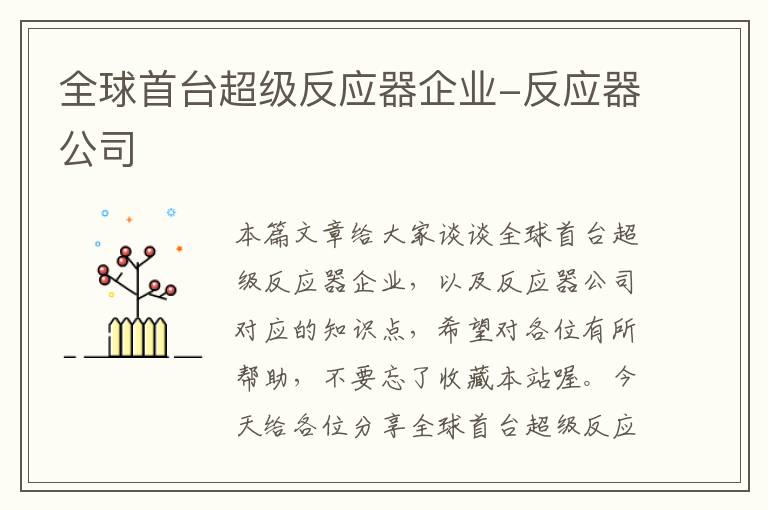 全球首台超级反应器企业-反应器公司