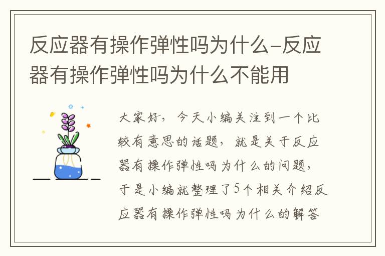 反应器有操作弹性吗为什么-反应器有操作弹性吗为什么不能用