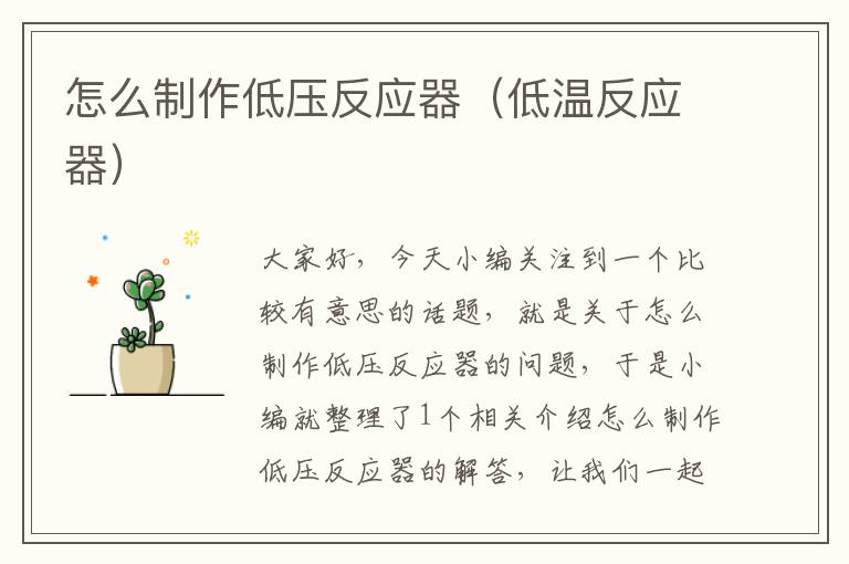 怎么制作低压反应器（低温反应器）