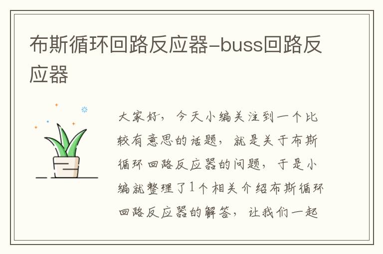 布斯循环回路反应器-buss回路反应器