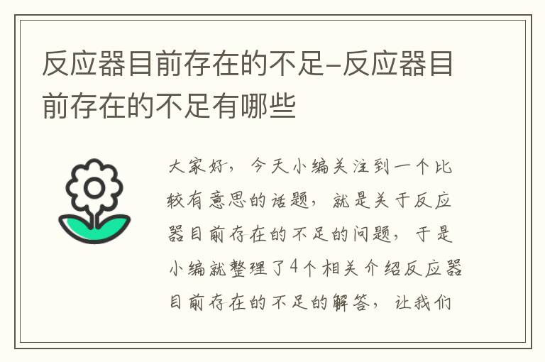 反应器目前存在的不足-反应器目前存在的不足有哪些