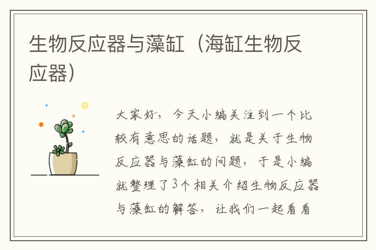 生物反应器与藻缸（海缸生物反应器）