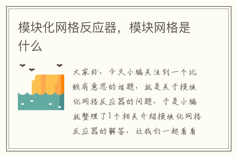 模块化网格反应器，模块网格是什么