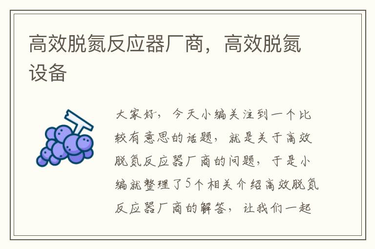 高效脱氮反应器厂商，高效脱氮设备