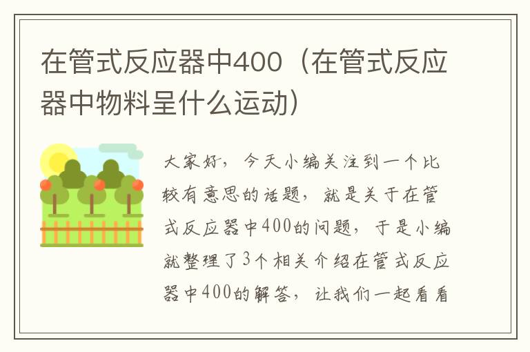 在管式反应器中400（在管式反应器中物料呈什么运动）