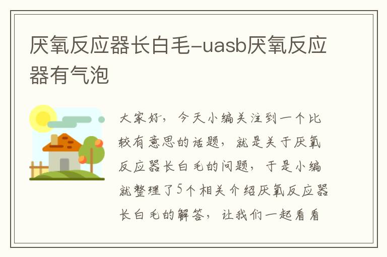 厌氧反应器长白毛-uasb厌氧反应器有气泡