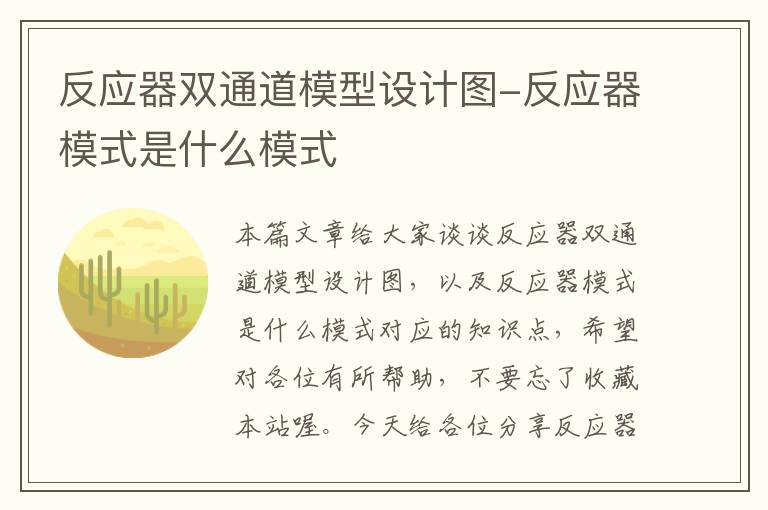 反应器双通道模型设计图-反应器模式是什么模式