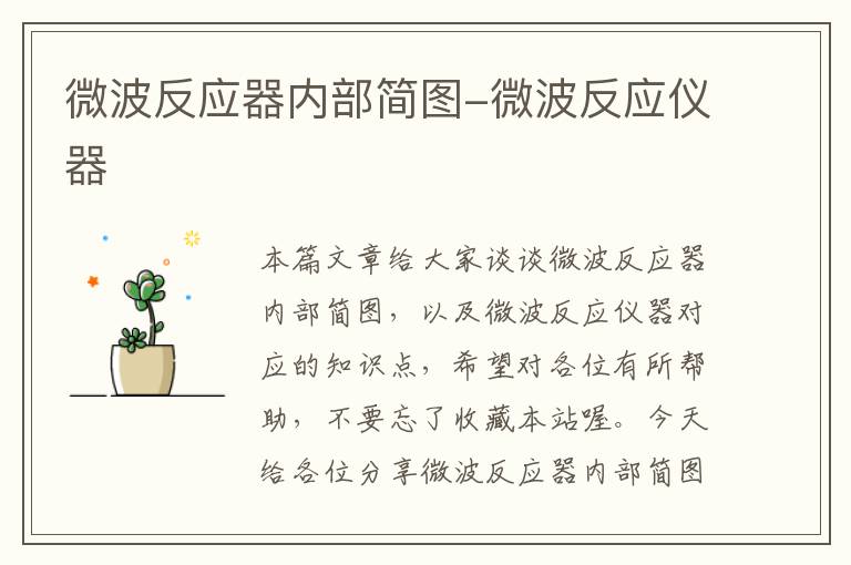 微波反应器内部简图-微波反应仪器