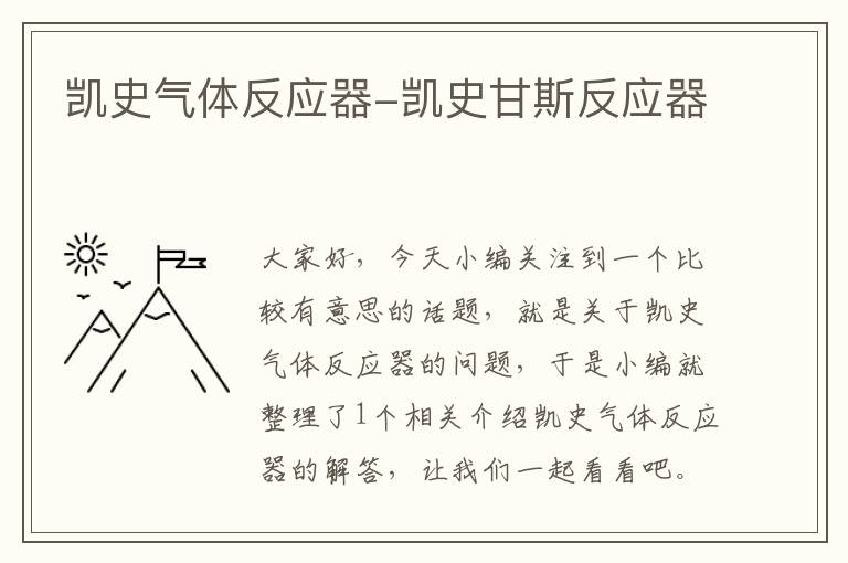 凯史气体反应器-凯史甘斯反应器