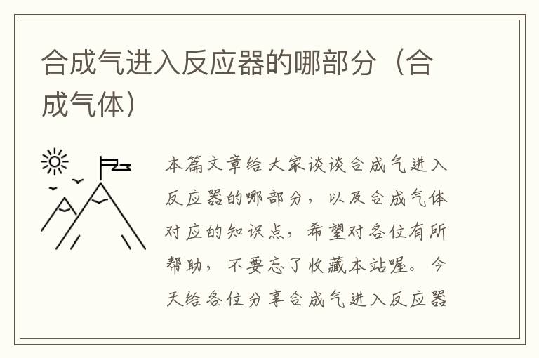 合成气进入反应器的哪部分（合成气体）