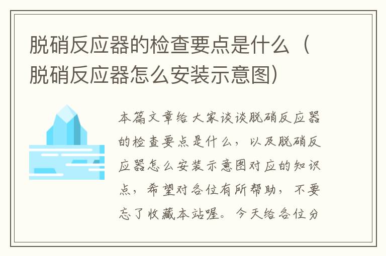 脱硝反应器的检查要点是什么（脱硝反应器怎么安装示意图）