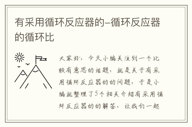 有采用循环反应器的-循环反应器的循环比