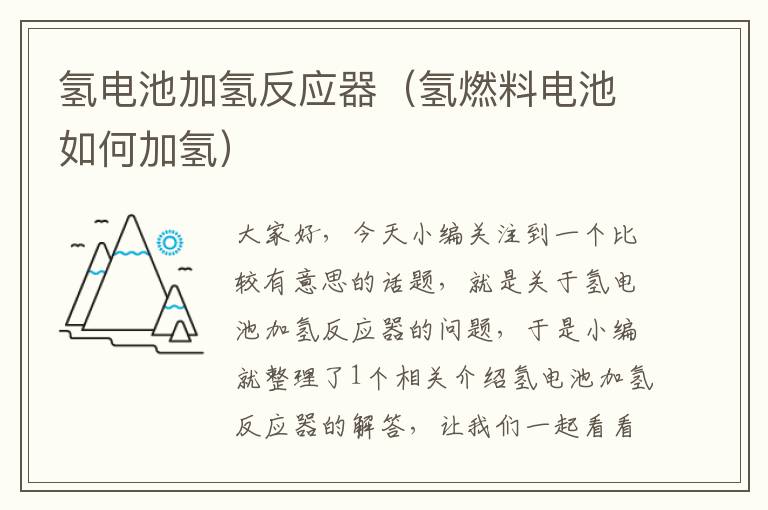 氢电池加氢反应器（氢燃料电池如何加氢）