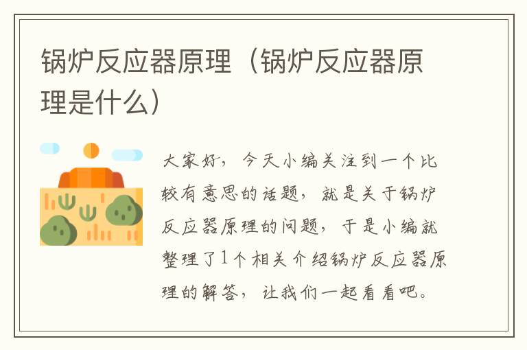 锅炉反应器原理（锅炉反应器原理是什么）