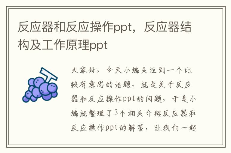 反应器和反应操作ppt，反应器结构及工作原理ppt