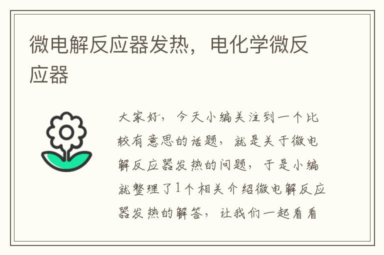 微电解反应器发热，电化学微反应器