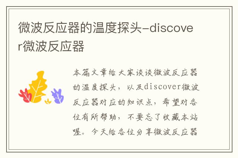 微波反应器的温度探头-discover微波反应器