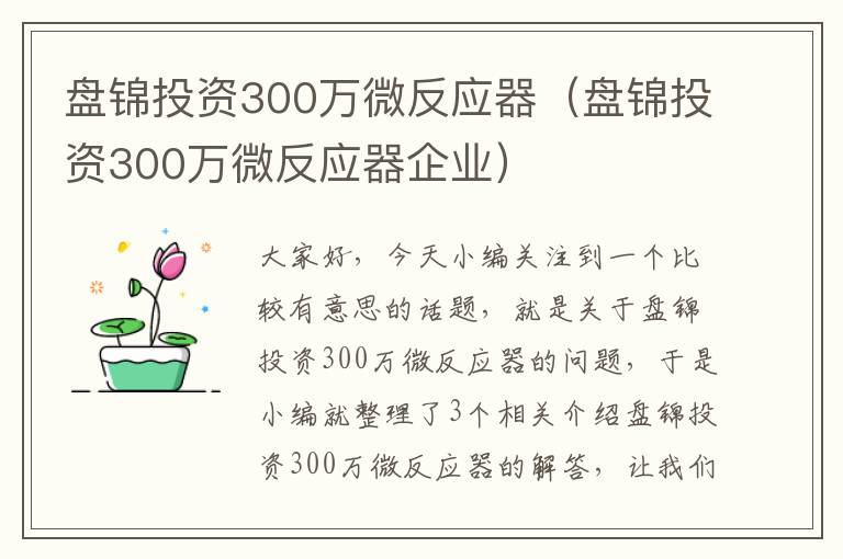 盘锦投资300万微反应器（盘锦投资300万微反应器企业）