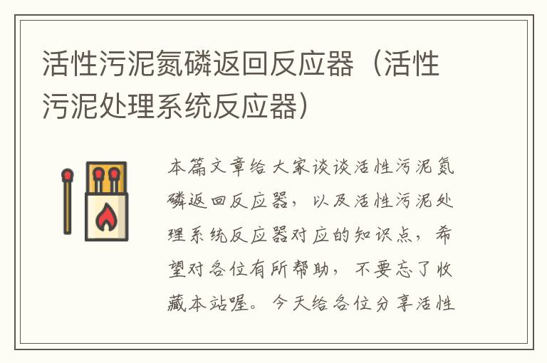 活性污泥氮磷返回反应器（活性污泥处理系统反应器）