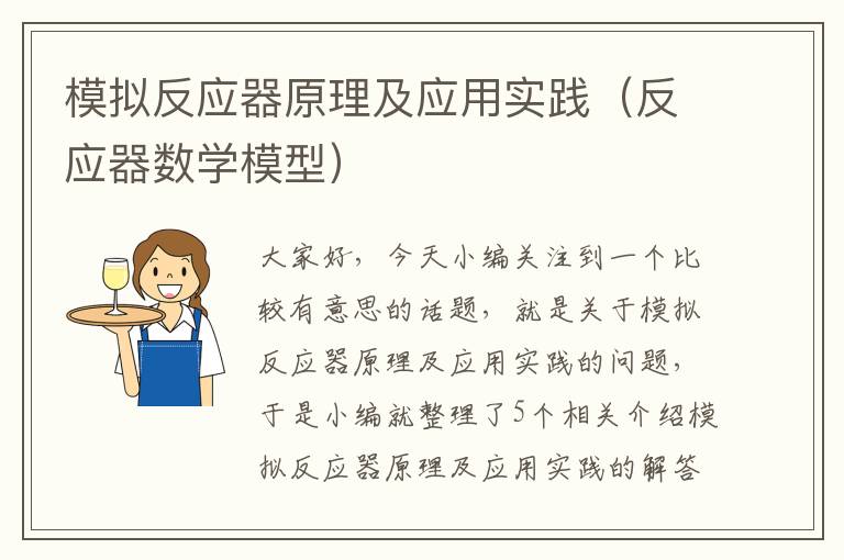 模拟反应器原理及应用实践（反应器数学模型）