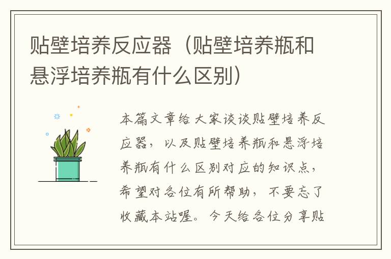 贴壁培养反应器（贴壁培养瓶和悬浮培养瓶有什么区别）