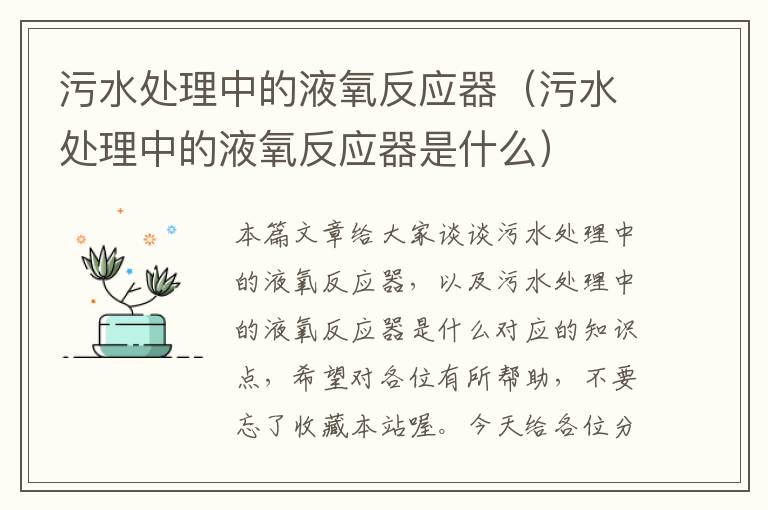 污水处理中的液氧反应器（污水处理中的液氧反应器是什么）