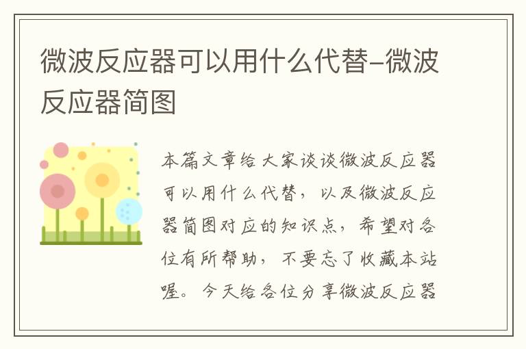 微波反应器可以用什么代替-微波反应器简图