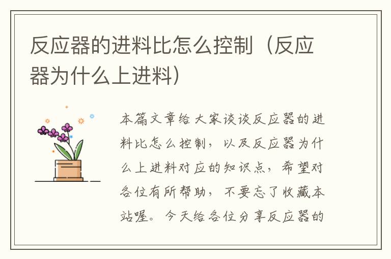 反应器的进料比怎么控制（反应器为什么上进料）