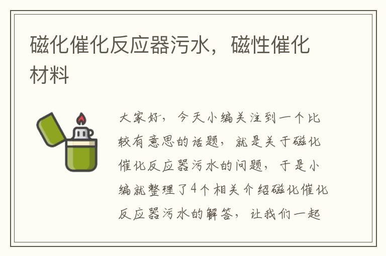 磁化催化反应器污水，磁性催化材料