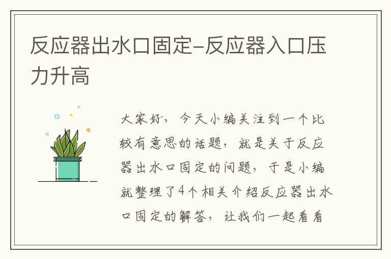 反应器出水口固定-反应器入口压力升高