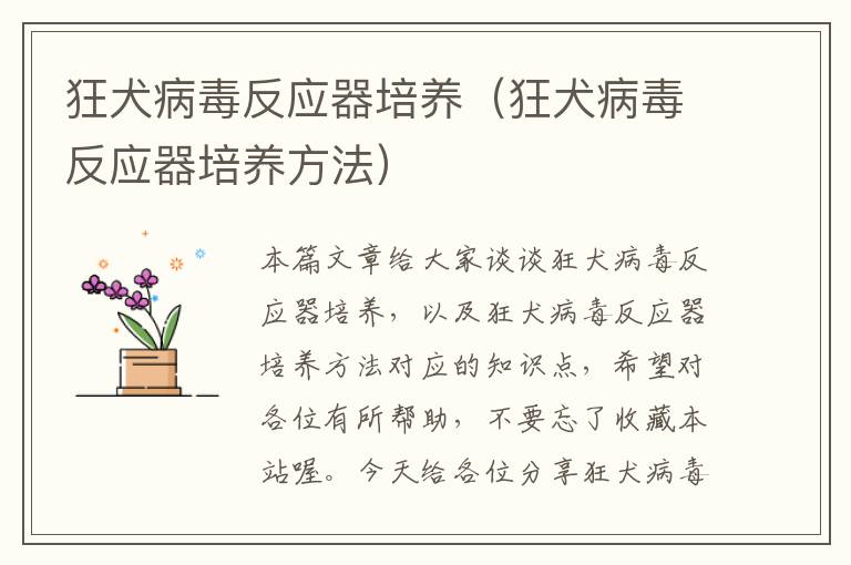 狂犬病毒反应器培养（狂犬病毒反应器培养方法）