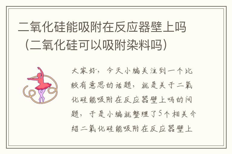 二氧化硅能吸附在反应器壁上吗（二氧化硅可以吸附染料吗）