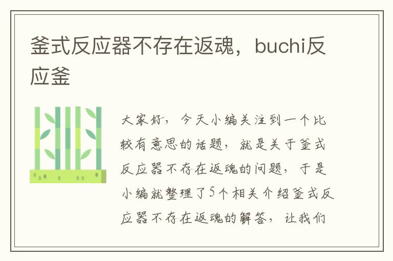 釜式反应器不存在返魂，buchi反应釜